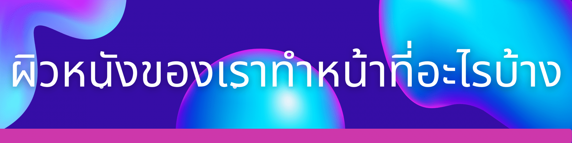 Banner For ผิวหนังของเราทำหน้าที่อะไรบ้าง